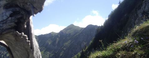 Face sud de montée au Colombier. Massif des Bauges