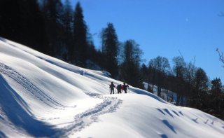 Sommet du Mont Pecloz - 2197 m - Massif des Bauges