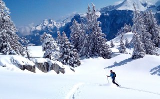 Sommet du Mont Pecloz - 2197 m - Massif des Bauges