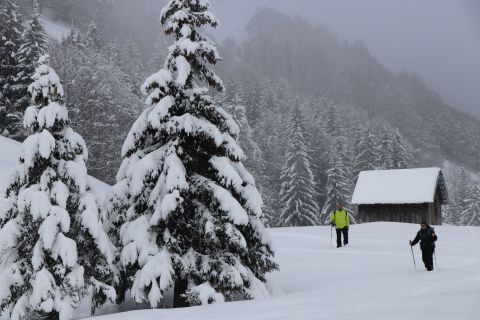 Raquette à neige dans une neige de qualité