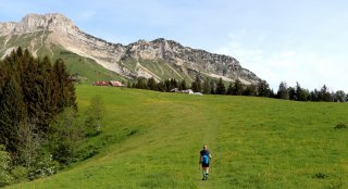 Sommet du Mont Pecloz - 2197 m - Massif des Bauges